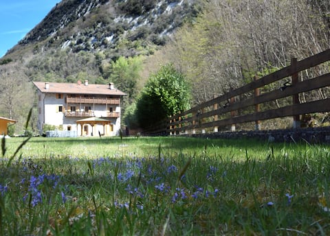 Ortensia Apartment, Foglie d'erba Country House
