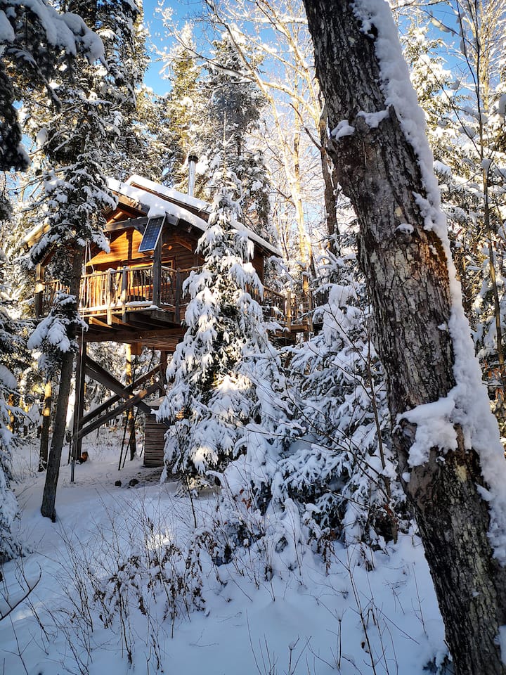 New England Treehouse Vacation Rentals United States Airbnb