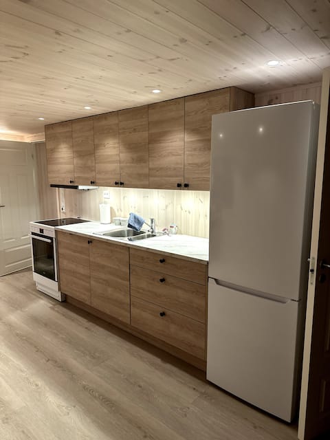 Top performing Airbnb: New, idyllic fjord apartment in Ørsta