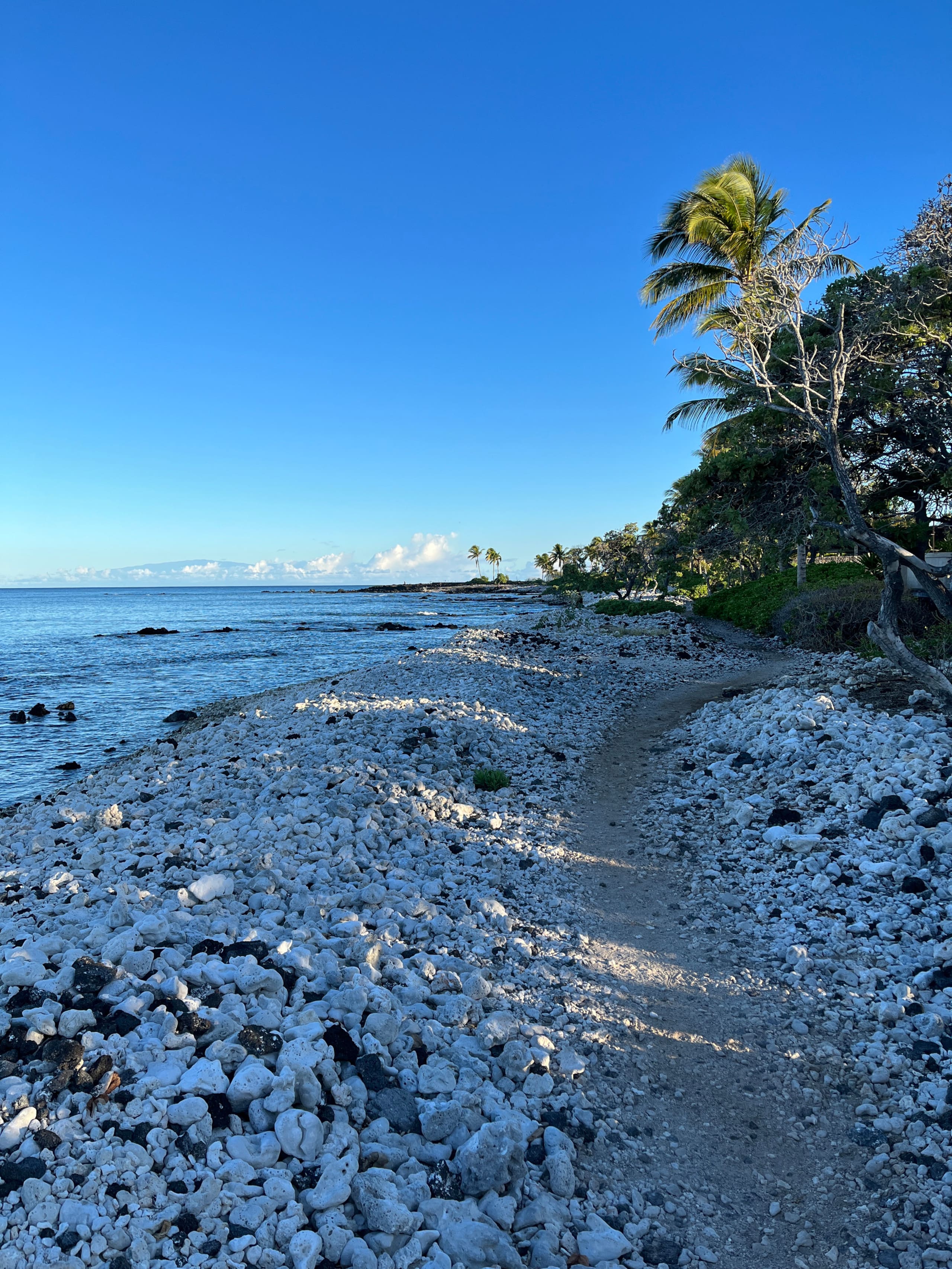 Walk to Beach, Golf, Shopping and Restaurants! - Image 28