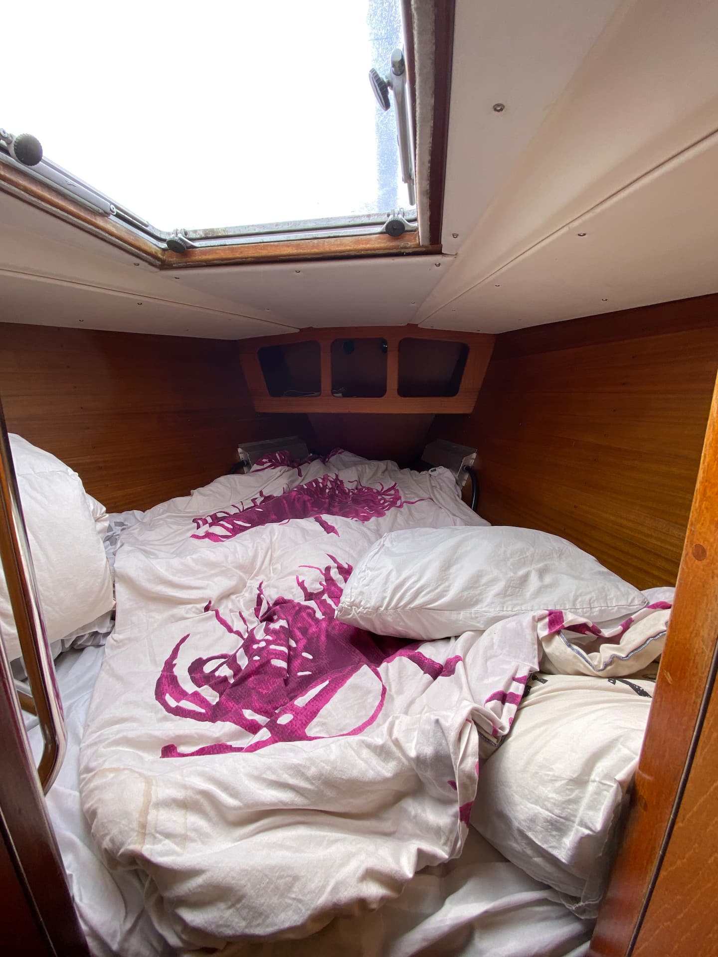 Enjoy Sea Life In Dock 3