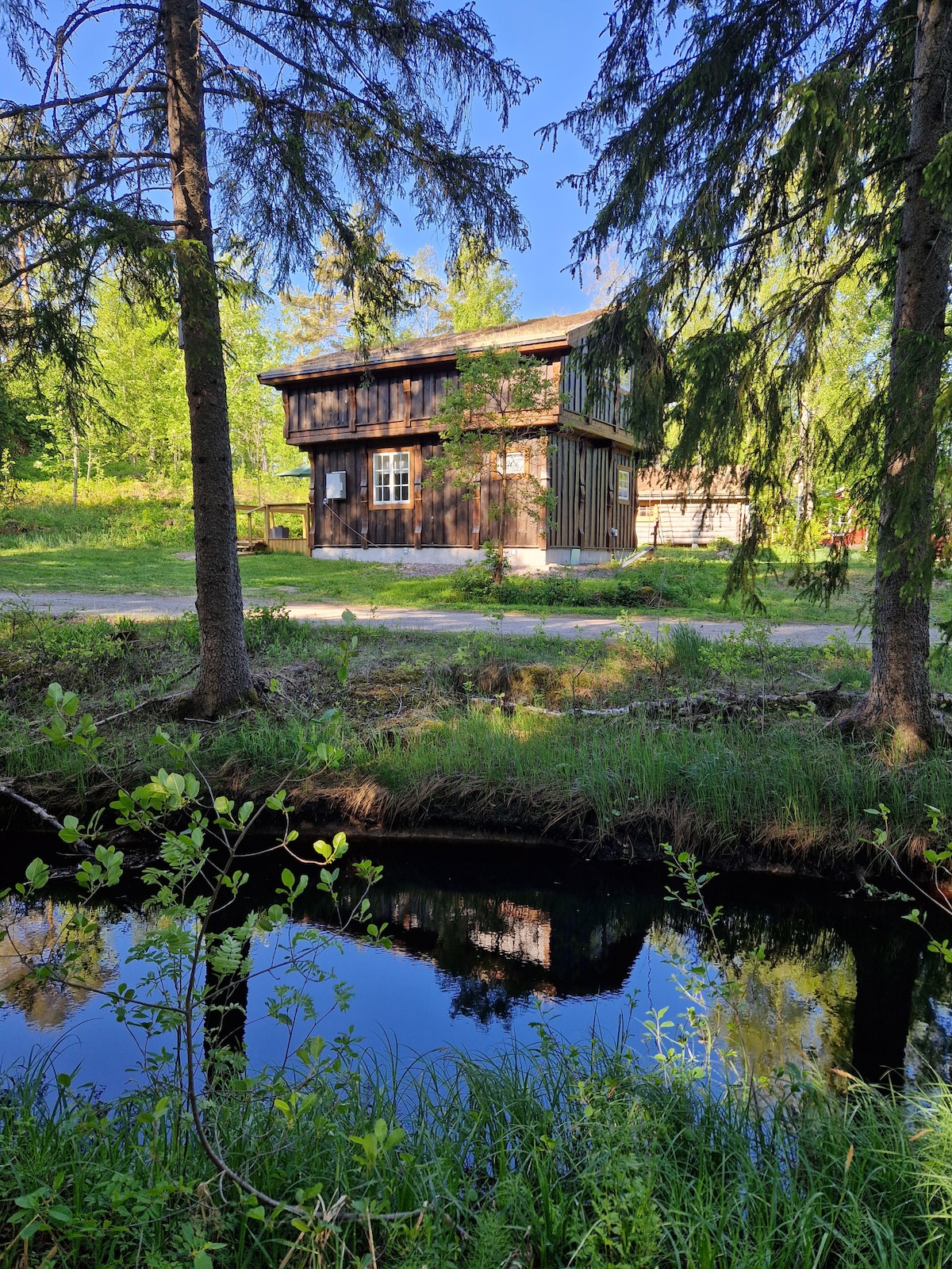 A rustic wooden cabin is framed by tall trees, reflecting in a calm stream. Lush green foliage surrounds the area, creating a serene outdoor environment. The cabin's structure features a covered porch and multiple windows, offering a view of the peaceful setting.