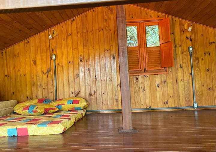 เมซานิโน