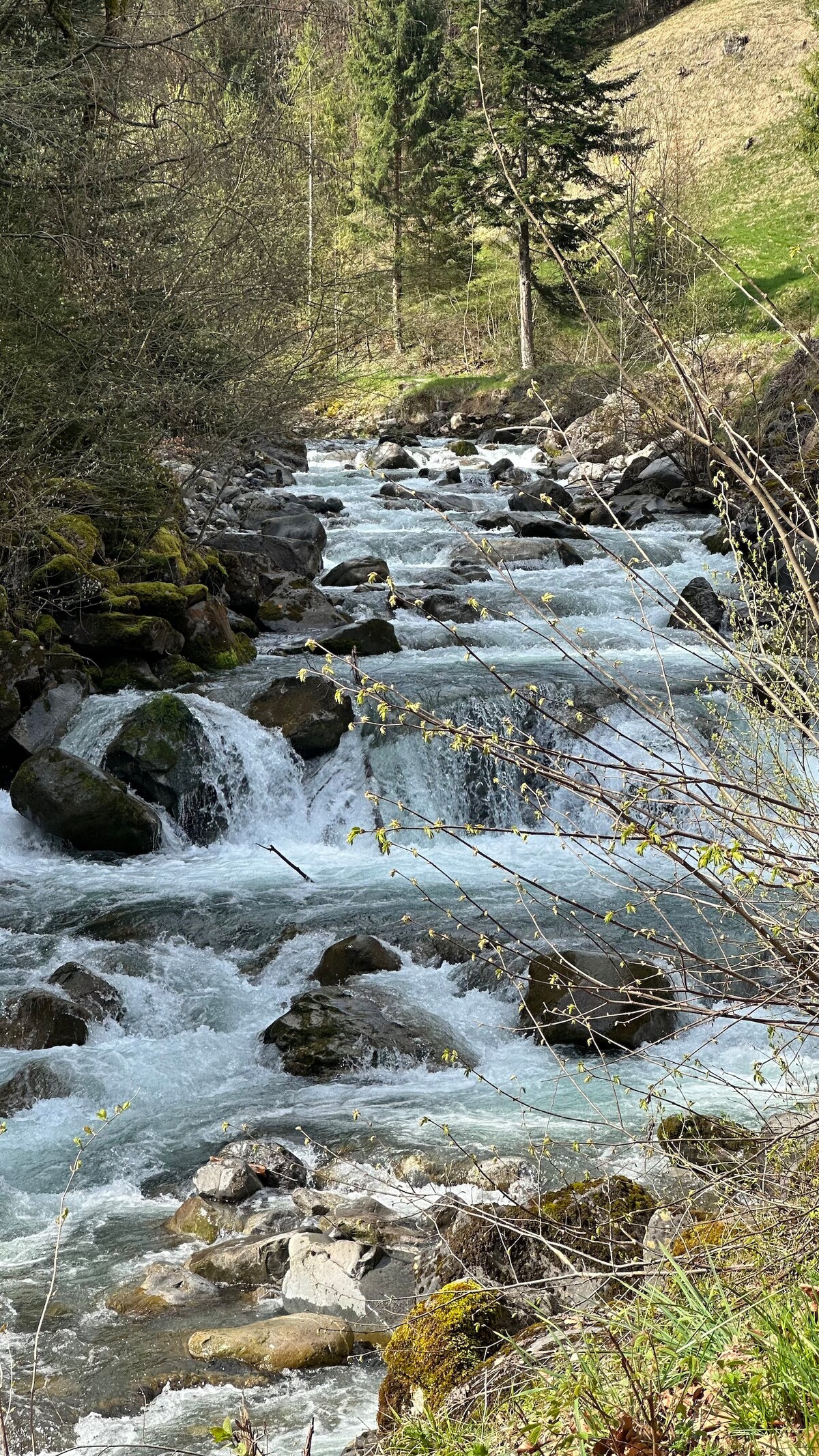 A tranquil river flows through a rocky landscape, with water cascading over stones. Lush greenery lines the banks, while trees rise towards a clear sky. The movement of the water creates a serene ambiance, enhancing the natural beauty of the surrounding environment.