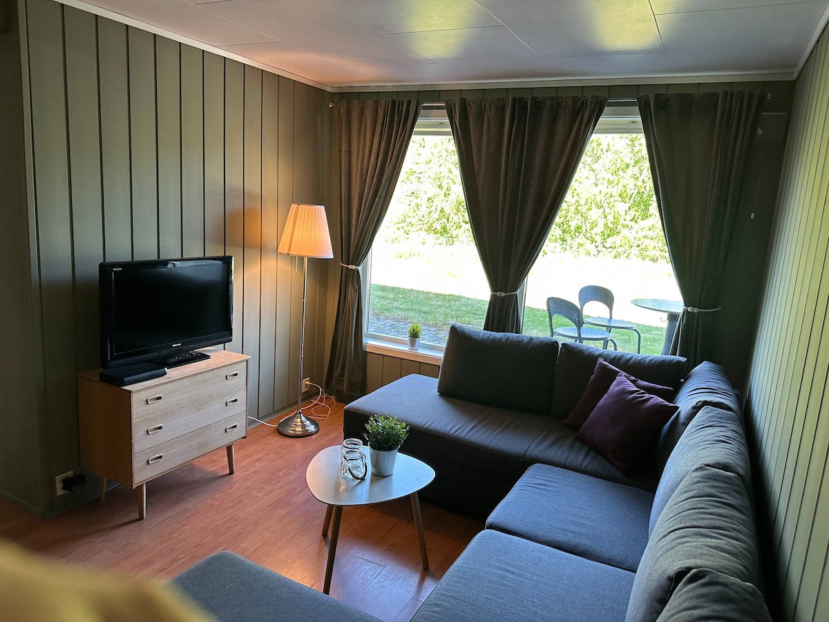 Sala de estar con sofá que también se puede convertir en una cama doble grande.