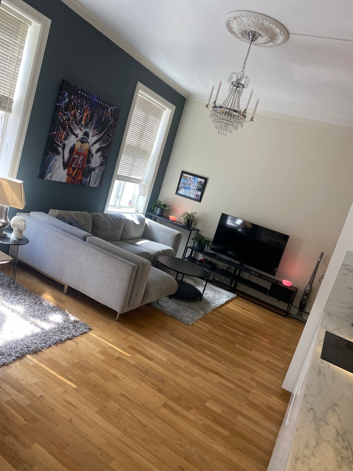 Норвежский интерьер квартиры. Цветовая гамма для квартиры. Квартиры в норвегии. Квартира в осло. Квартиры в норвегии.