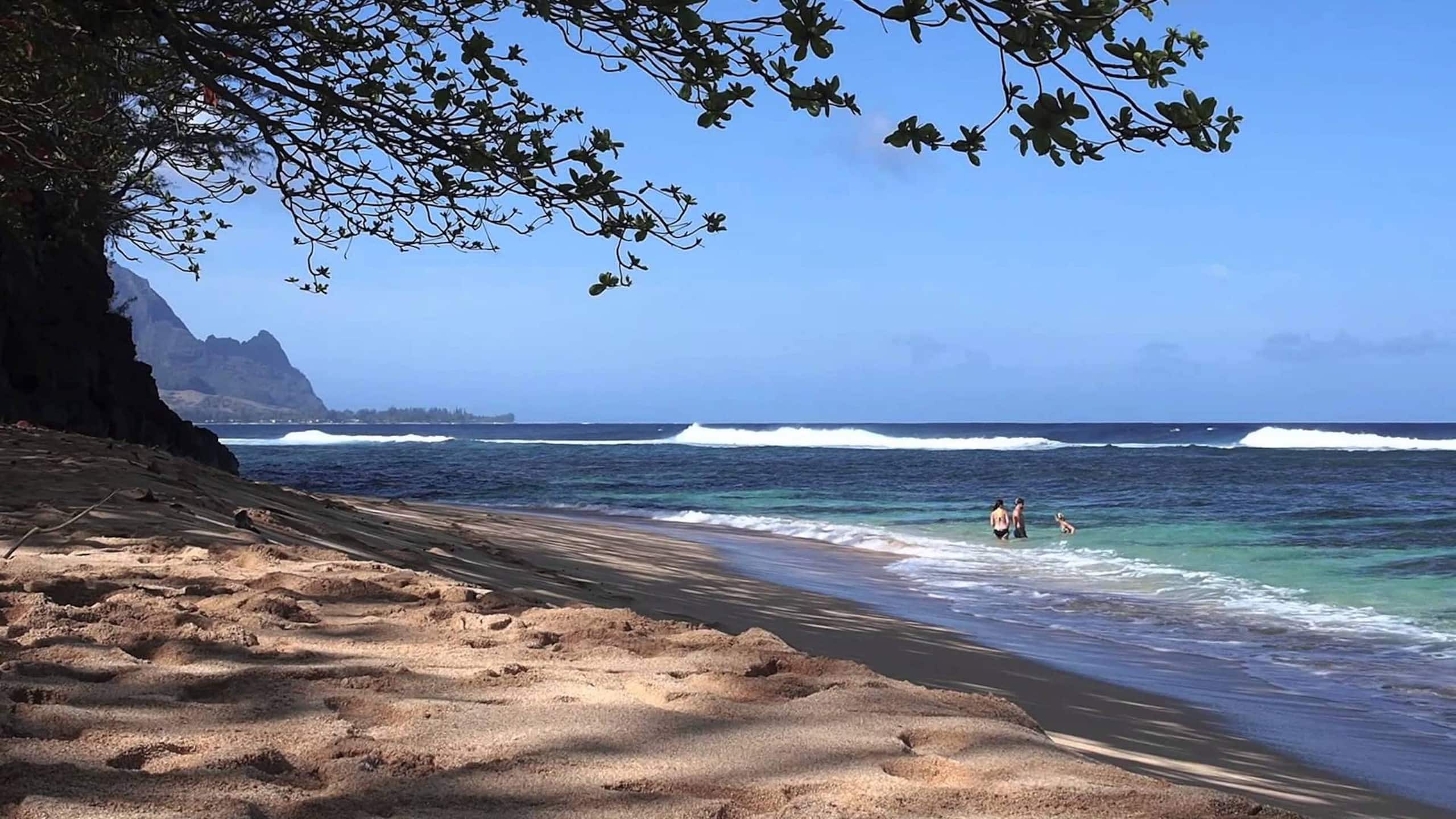 Home in Princeville · ★4.94 · 4 bedrooms · 5 beds · 3.5 baths - Image 30