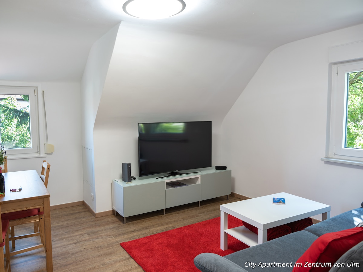 Top Airbnb: Beautiful city apartment in the center of Ulm in Ulm