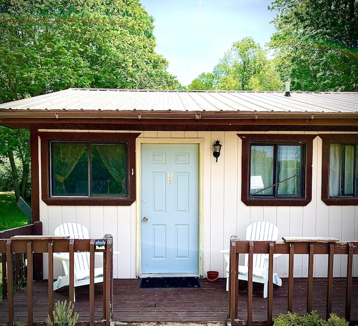 The Benzonia Rustic Resort Studio #1 - Benzonia, MI
