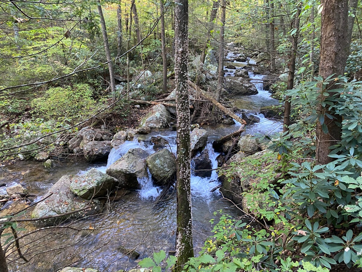 A serene stream flows gently through a wooded area, framed by rocks and lush greenery. Tall trees surround the scene, providing shade and a sense of tranquility. The water glistens as it winds through the landscape, inviting a connection with nature.