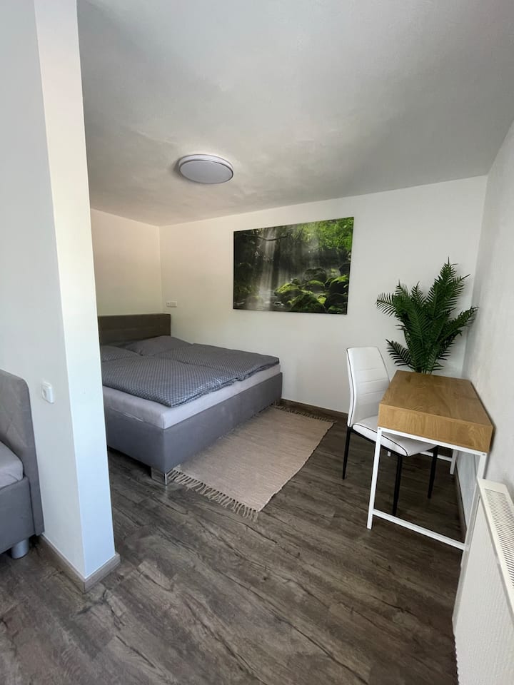 Room #5 (for 4 people) - the only bedroom in the ground floor