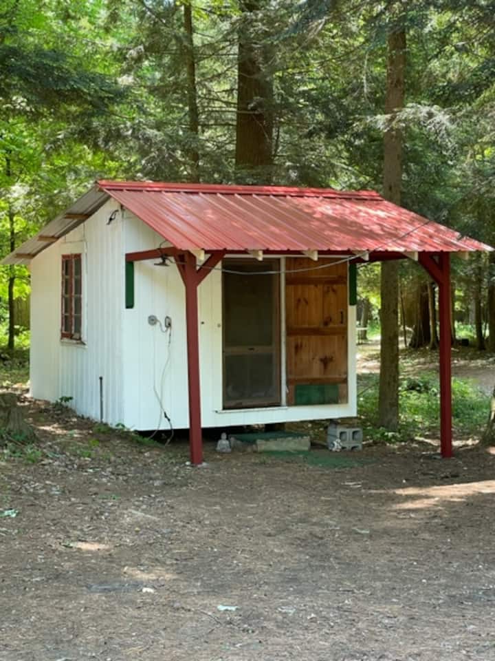 Hemlock Cabin cozy and rustic Cabins for Rent in Hermon, New York