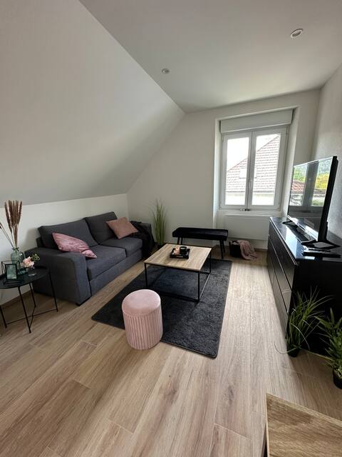 Beautiful Cosy Studio near Switzerland