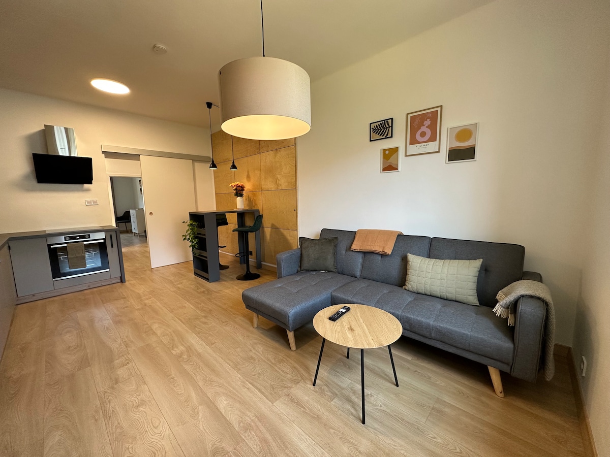 The living area features a modern gray sofa accompanied by a round coffee table. Above, a large pendant light provides illumination. Wall art is displayed in a minimalist style, while the open kitchen is visible to the left, showcasing essential appliances.