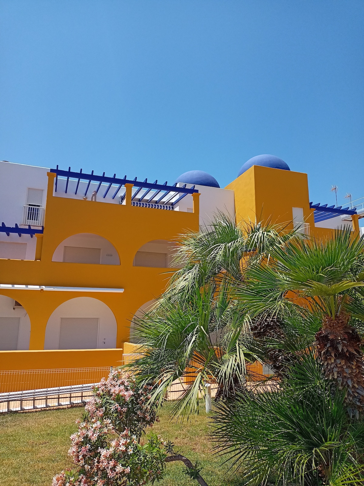 The exterior of a vibrant building showcases a bold yellow facade, complemented by blue accents on the roof. Palm trees and flowering shrubs are positioned in the foreground, enhancing the tropical feel of the setting. Clear blue skies provide a bright backdrop.