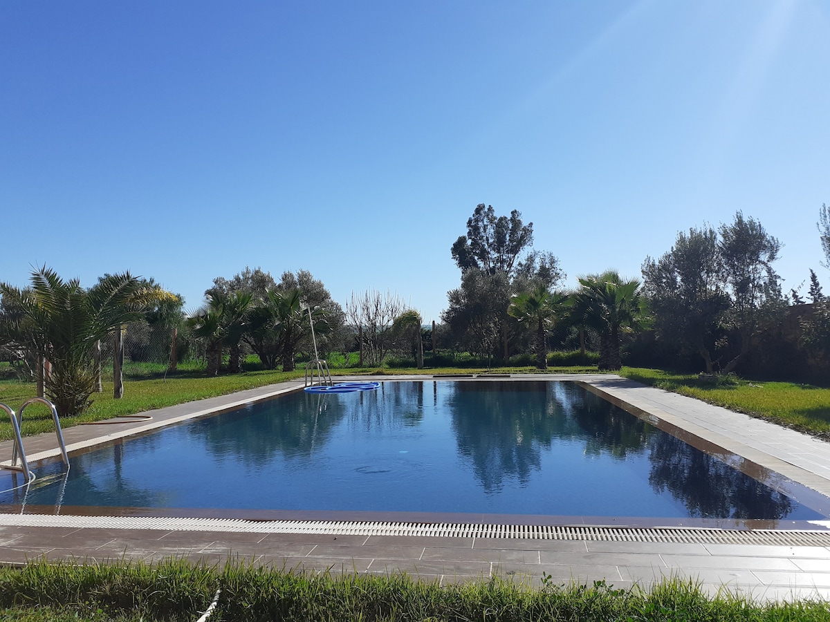 A large swimming pool is surrounded by lush green grass and palm trees. The clear blue sky reflects in the water, while a shallow entry is indicated by a set of metallic steps on one side.