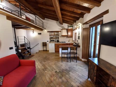 Proprietà Airbnb di successo: The Loft on the Lake a Anguillara Sabazia