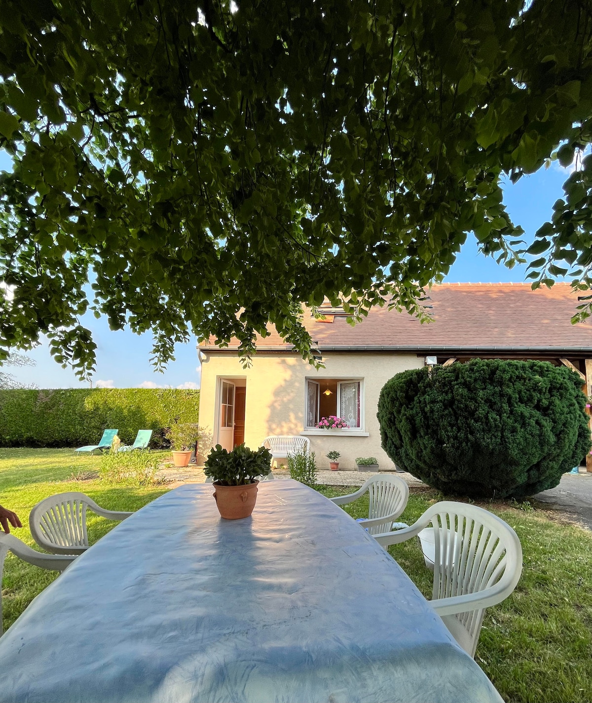 A shaded outdoor dining area is shown, featuring a long table set with a pot of greenery at its center. In the background, a house with a charming window and flowering plants is visible, alongside neatly arranged lounge chairs and well-manicured shrubbery.