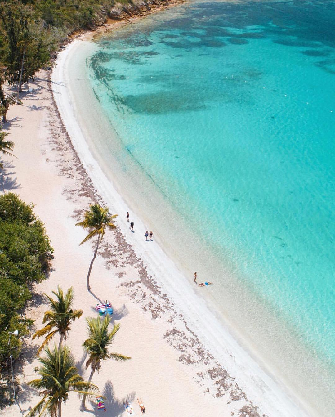 An aerial view captures a serene beach with soft white sand bordered by vibrant turquoise waters. Palm trees are scattered along the shore, providing shade. Several individuals are seen enjoying the beach, adding to the peaceful atmosphere of this coastal retreat.
