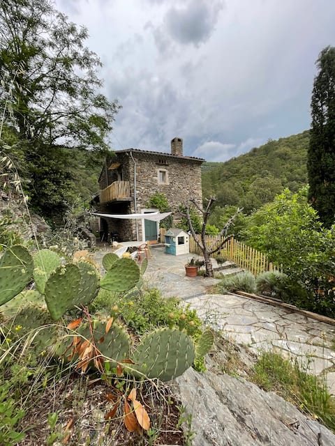 Mas Du tel, a moment in nature