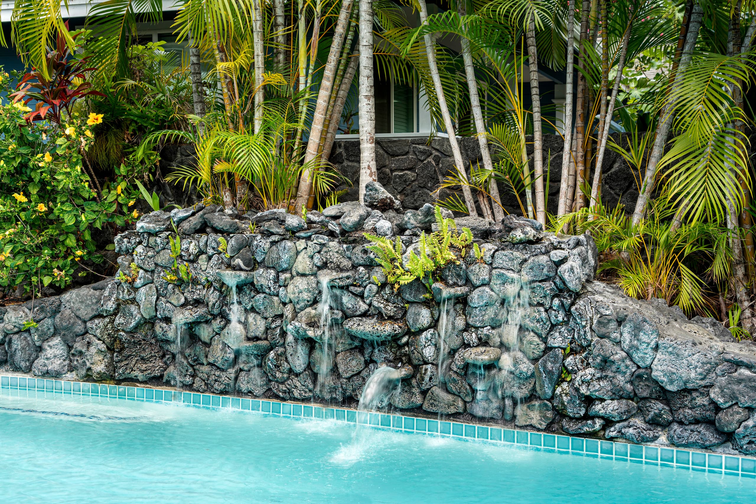 Home in Kailua-Kona · ★4.85 · 5 bedrooms · 9 beds · 3 private baths - Image 47