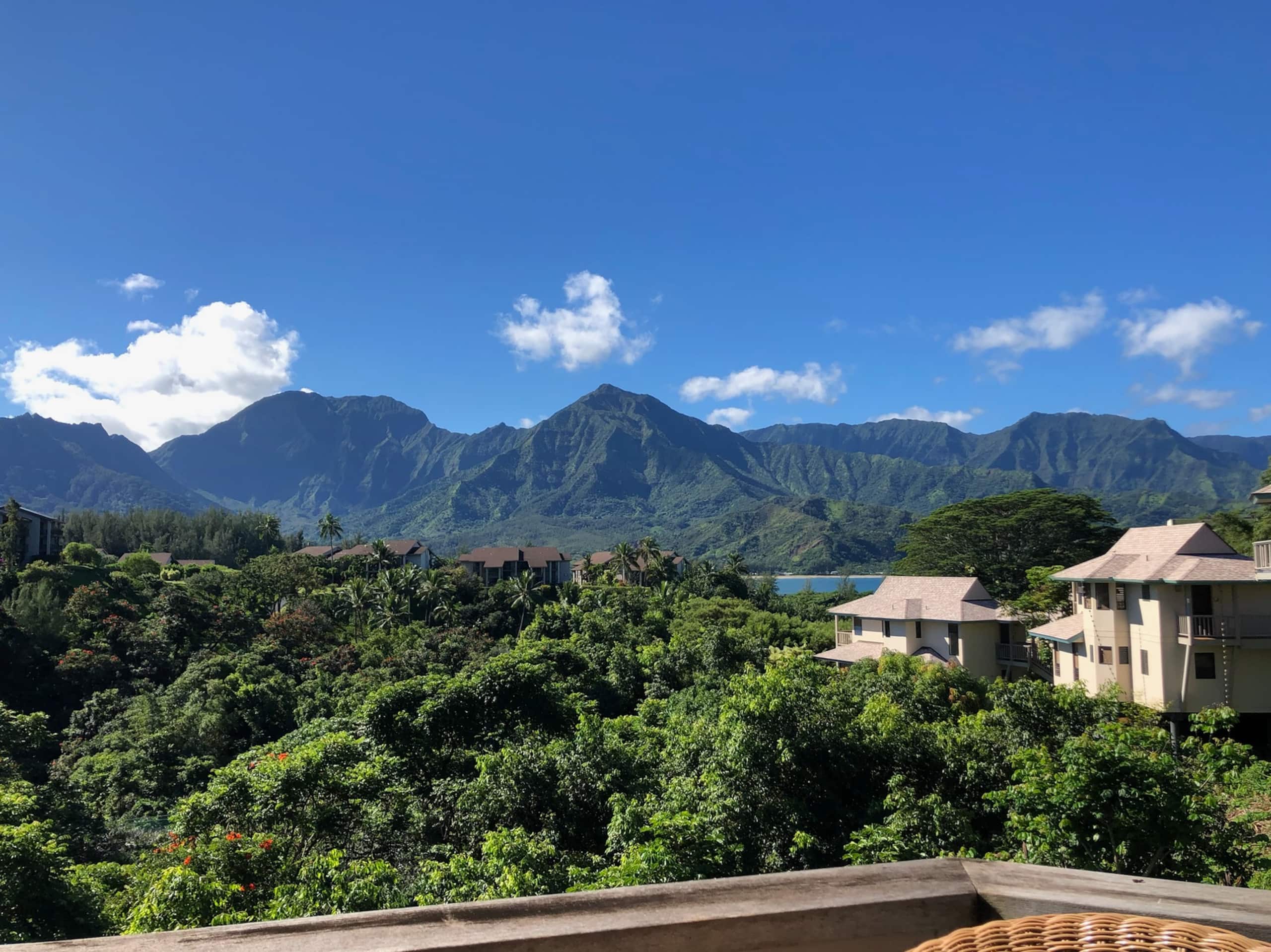 Villa in Princeville · ★4.96 · 2 bedrooms · 2 beds · 2.5 baths - Image 19