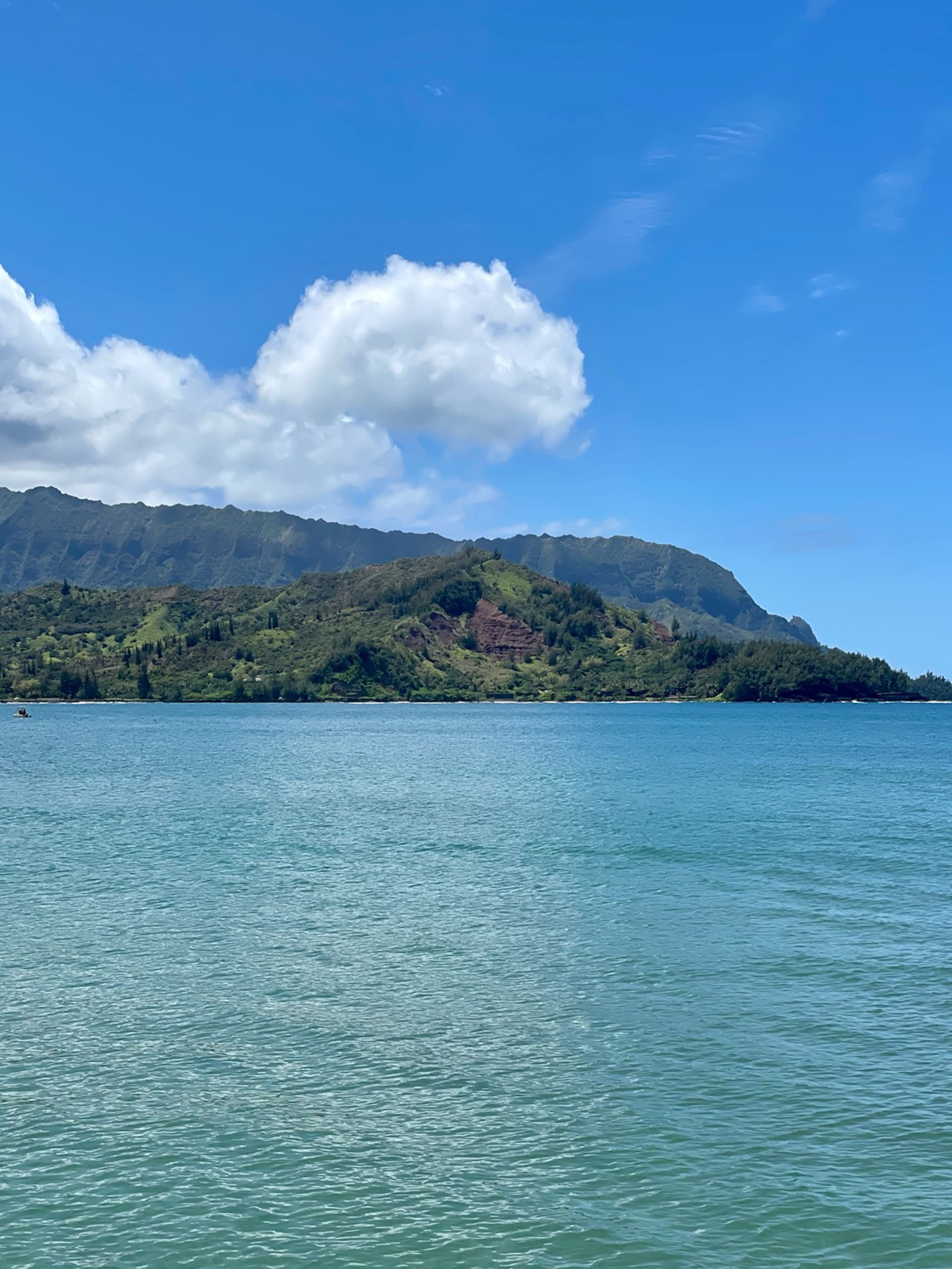 Villa in Princeville · ★4.96 · 2 bedrooms · 2 beds · 2.5 baths - Image 25