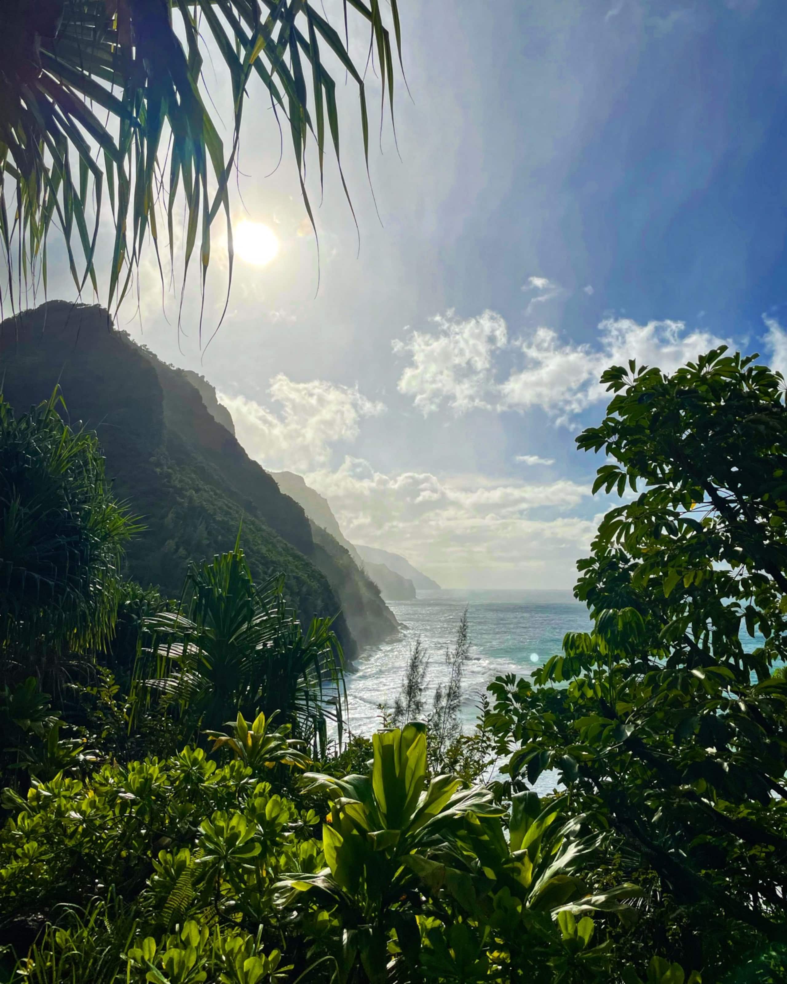 Villa in Princeville · ★4.96 · 2 bedrooms · 2 beds · 2.5 baths - Image 30