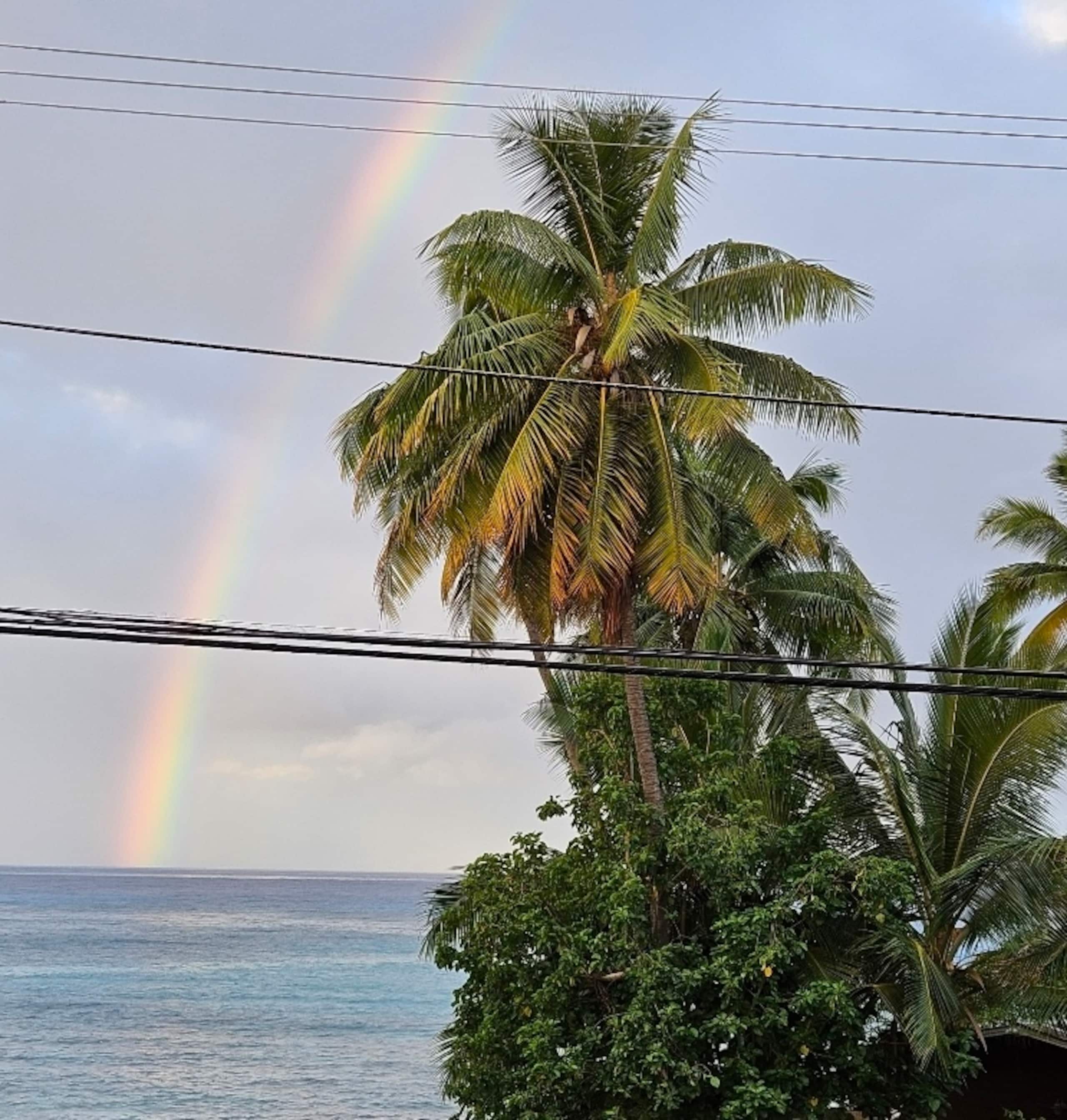 Oceanfront, 2 bed 2 bath with AC, sleeps 5-6 - Image 45