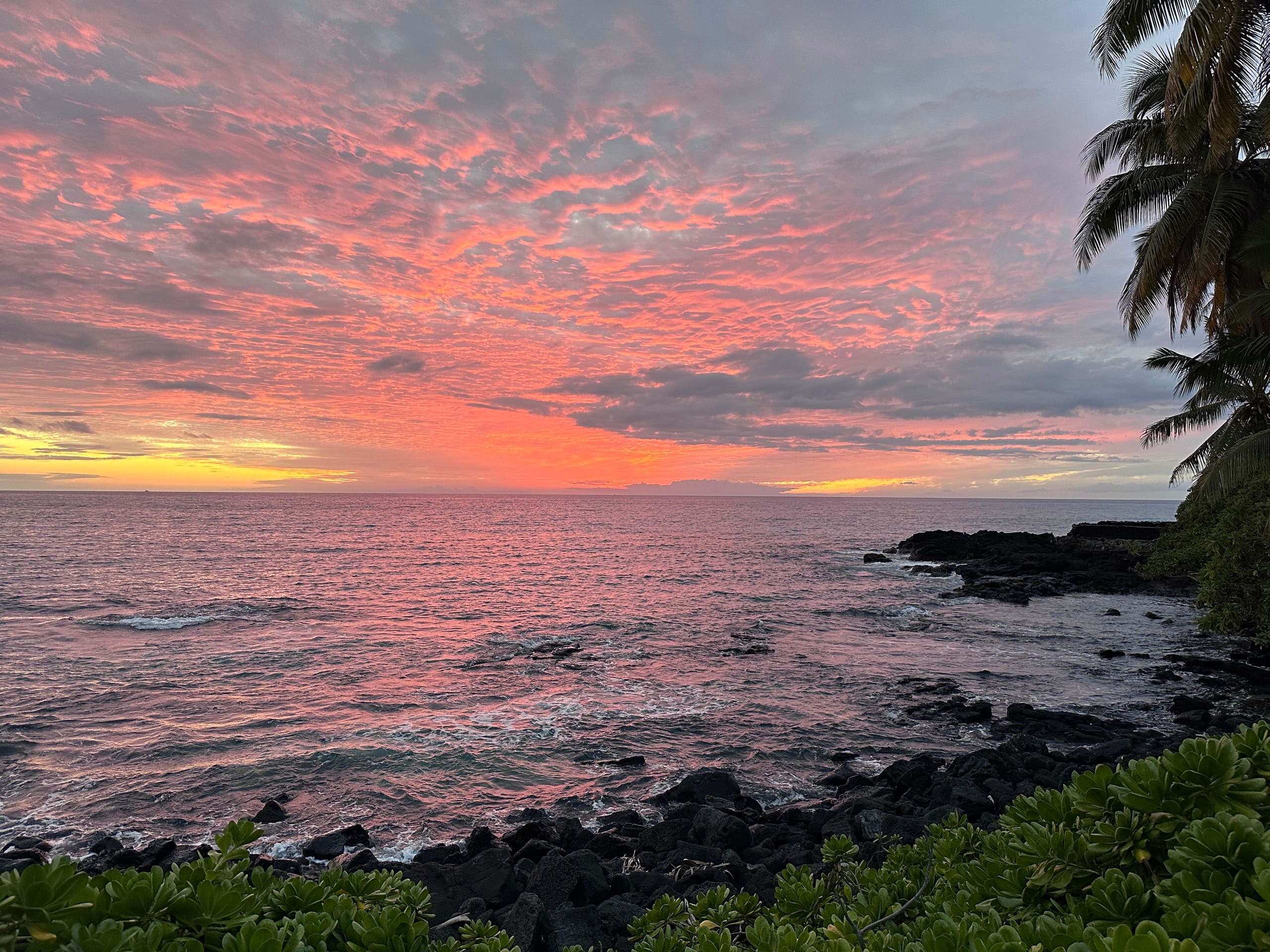 Oceanfront, 2 bed 2 bath with AC, sleeps 5-6 - Image 44