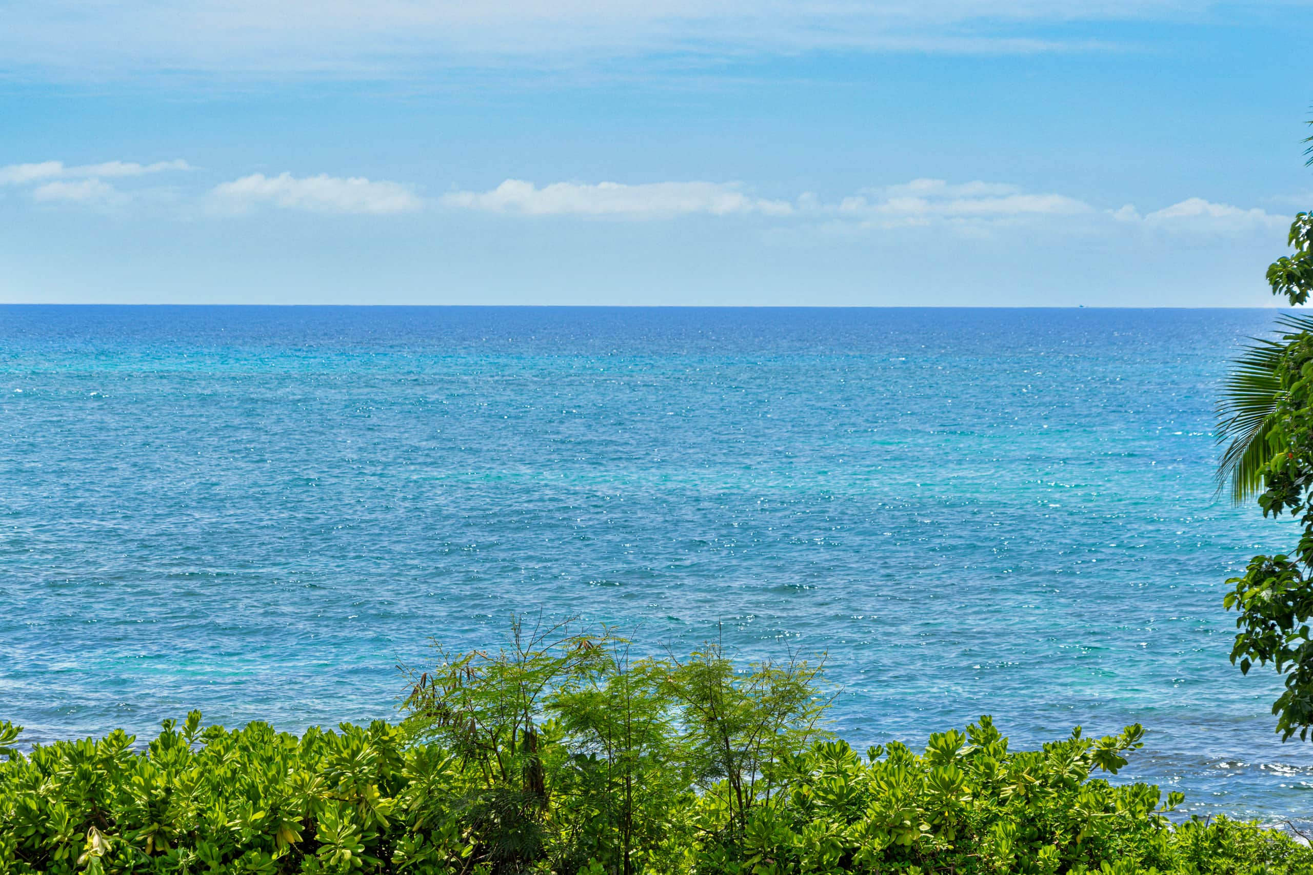 Oceanfront, 2 bed 2 bath with AC, sleeps 5-6 - Image 38