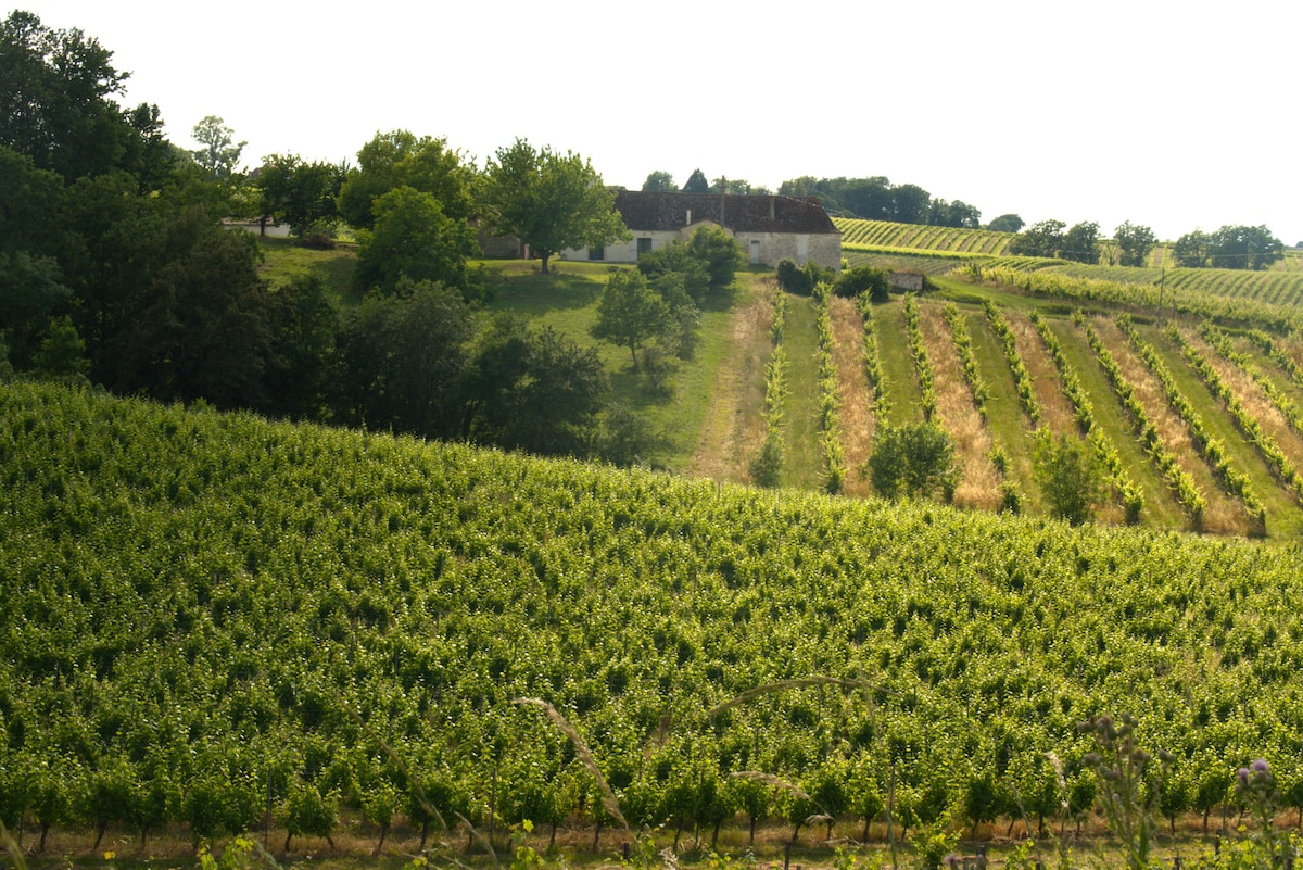 The landscape features rows of lush green vines set against a backdrop of a charming house nestled among trees. The vineyard gently slopes towards the house, which is surrounded by a tranquil atmosphere and scenic views of rolling hills.