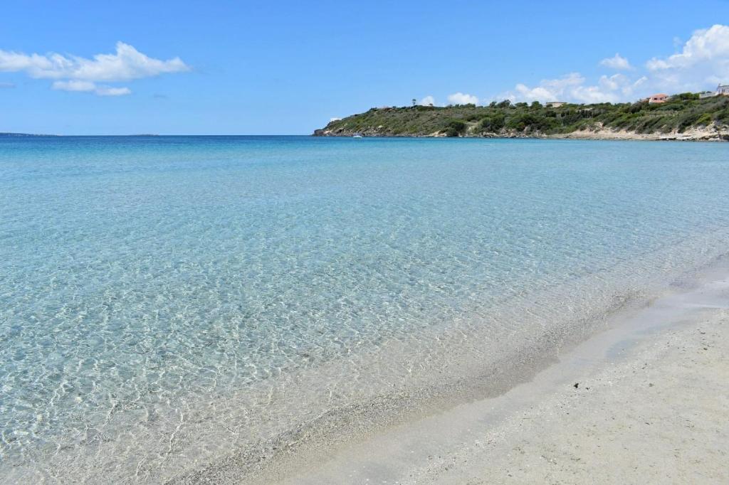 A calm beach scene is depicted, showcasing clear turquoise waters gently lapping against soft, sandy shores. The horizon blends seamlessly with a clear blue sky, while lush green hills are visible in the distance, contributing to the serene coastal environment.