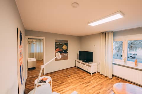 Top performing Airbnb: 98 sqm apartment in the garden in Stockach