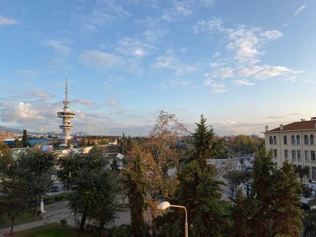 Houseloft Forum Premium gallery image 3