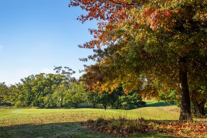 Heritage Holiday House No.17 gallery image 5