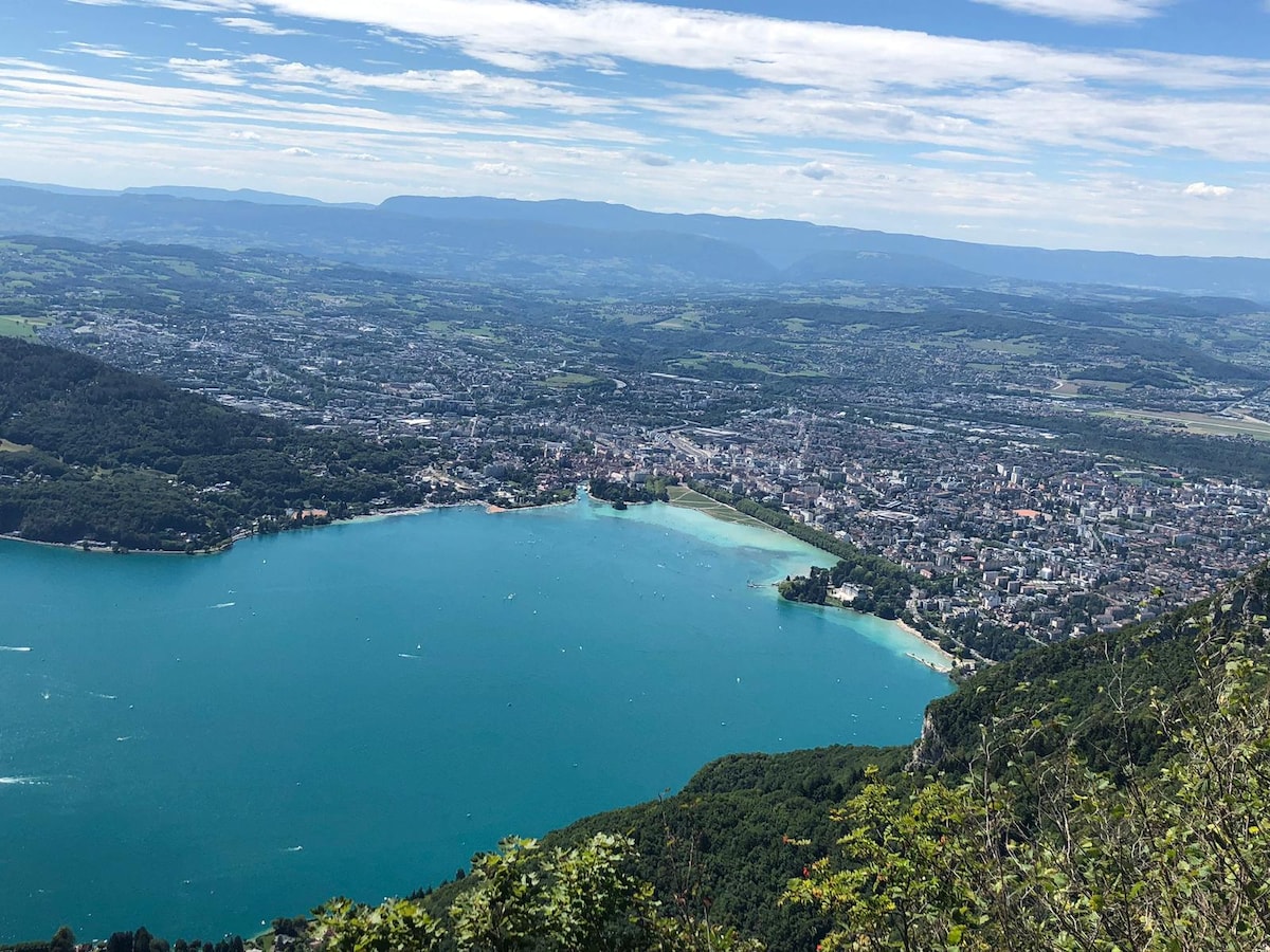 The image captures a panoramic view of a lake surrounded by lush greenery and a nearby town. The clarity of the water is visible, reflecting the sky, while mountains outline the background, creating a serene landscape. Fluffy clouds float above in a blue sky.