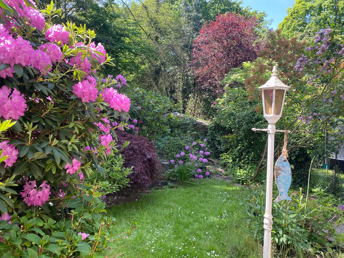 A lush garden is portrayed, filled with vibrant flowering shrubs and greenery. A decorative lamp post stands beside a manicured lawn, surrounded by colorful blooms. The scene is tranquil, inviting relaxation in a natural setting.