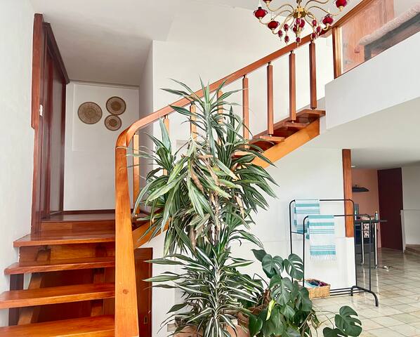 Oasis Pool House – 4BR, Next to Roma Sur gallery image 2