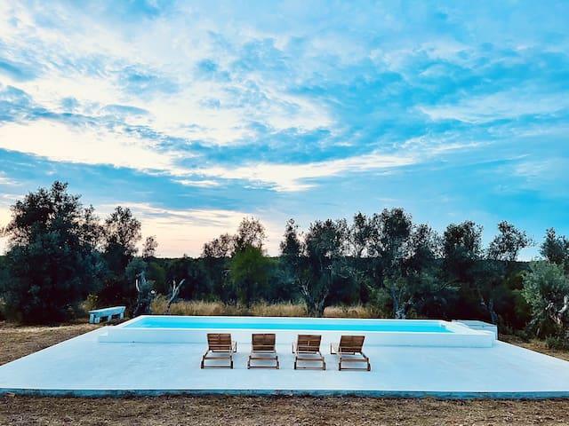 Trip2Portugal managed Airbnb listing 1