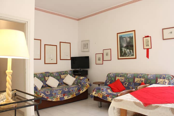 客厅配有双人沙发床