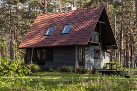 Forest summer house near the sea