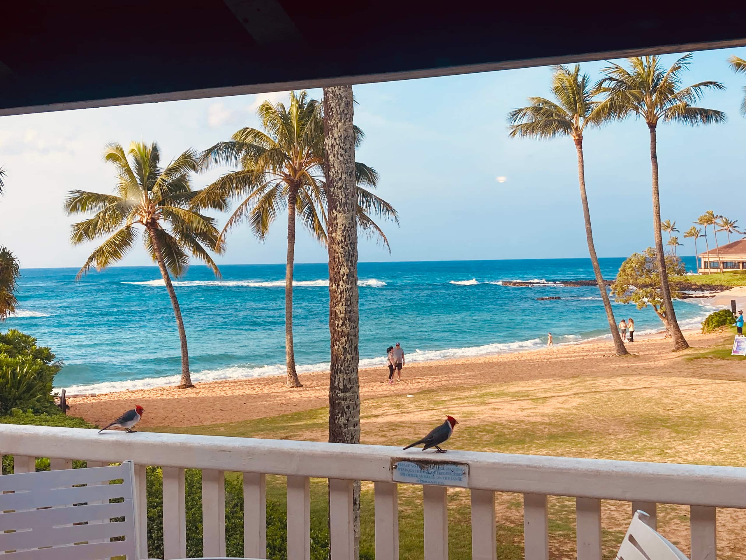 Condo in Koloa · ★5.0 · 2 bedrooms · 4 beds · 2 baths - Photo 1