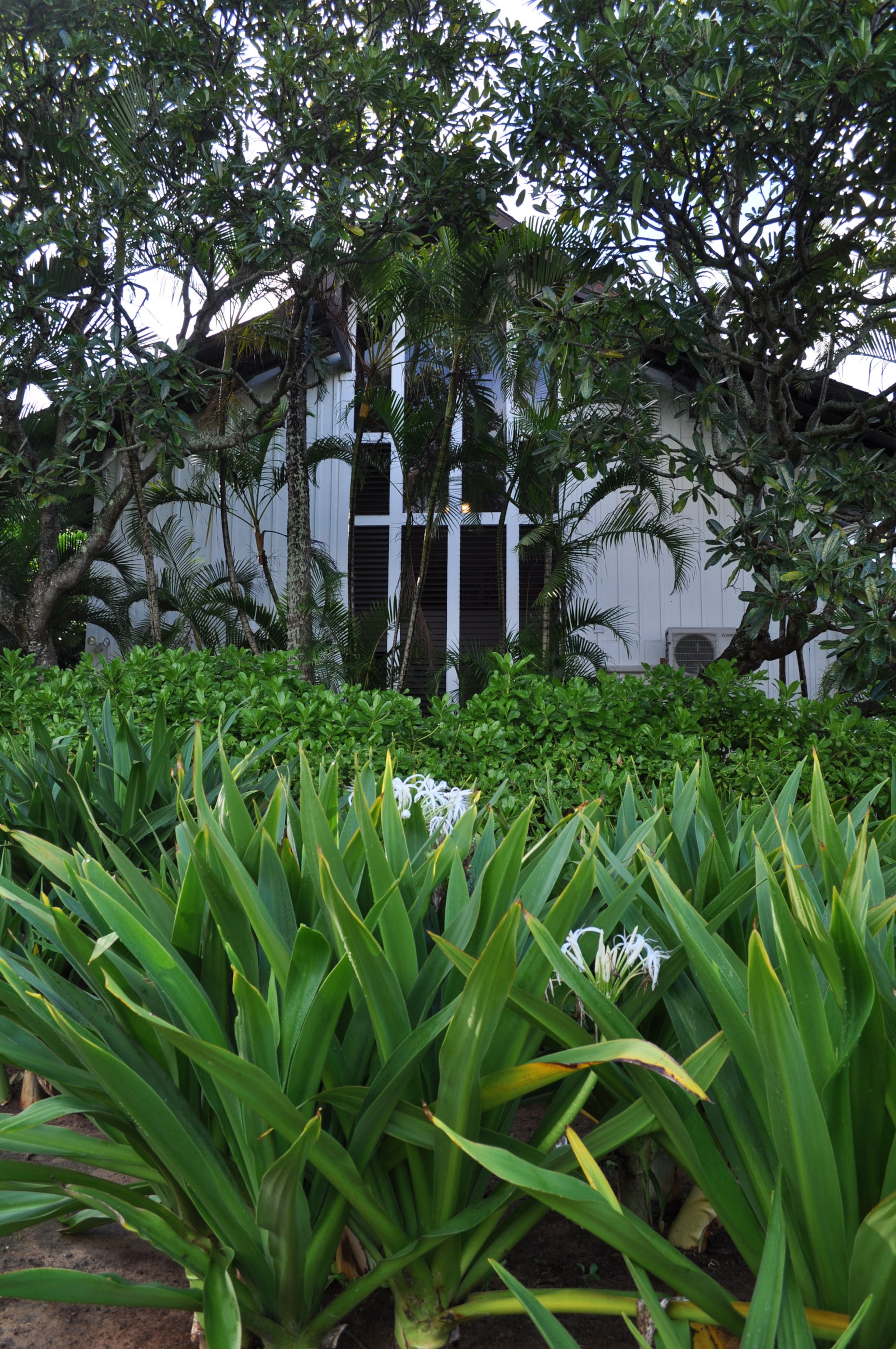 Condo in Koloa · ★5.0 · 2 bedrooms · 4 beds · 2 baths - Photo 6