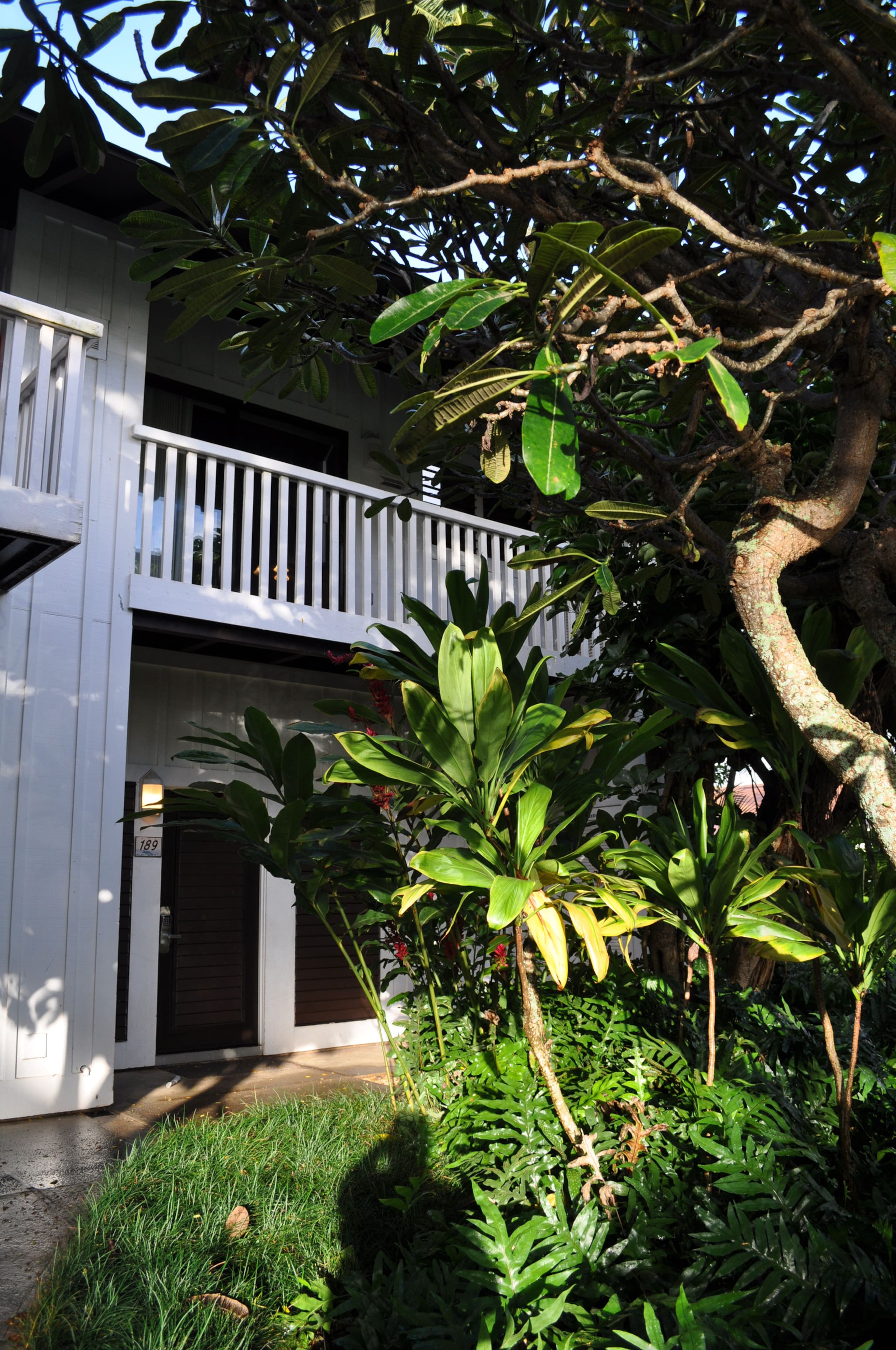 Condo in Koloa · ★5.0 · 2 bedrooms · 4 beds · 2 baths - Photo 11