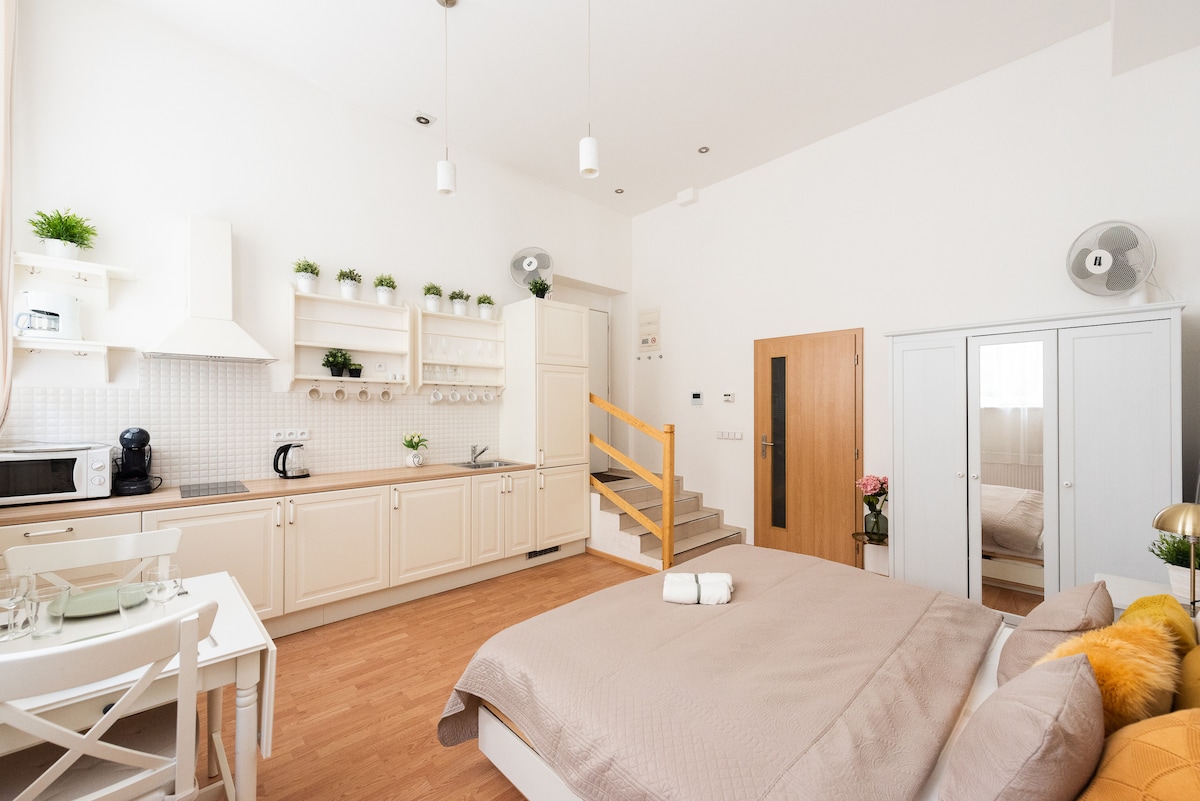A spacious studio apartment features a fully equipped kitchenette with light cabinetry and a dining area. A comfortable bed is set against a neutral wall, with natural light filtering through the window. A staircase leads to an upper sleeping area, and a wardrobe is positioned nearby.