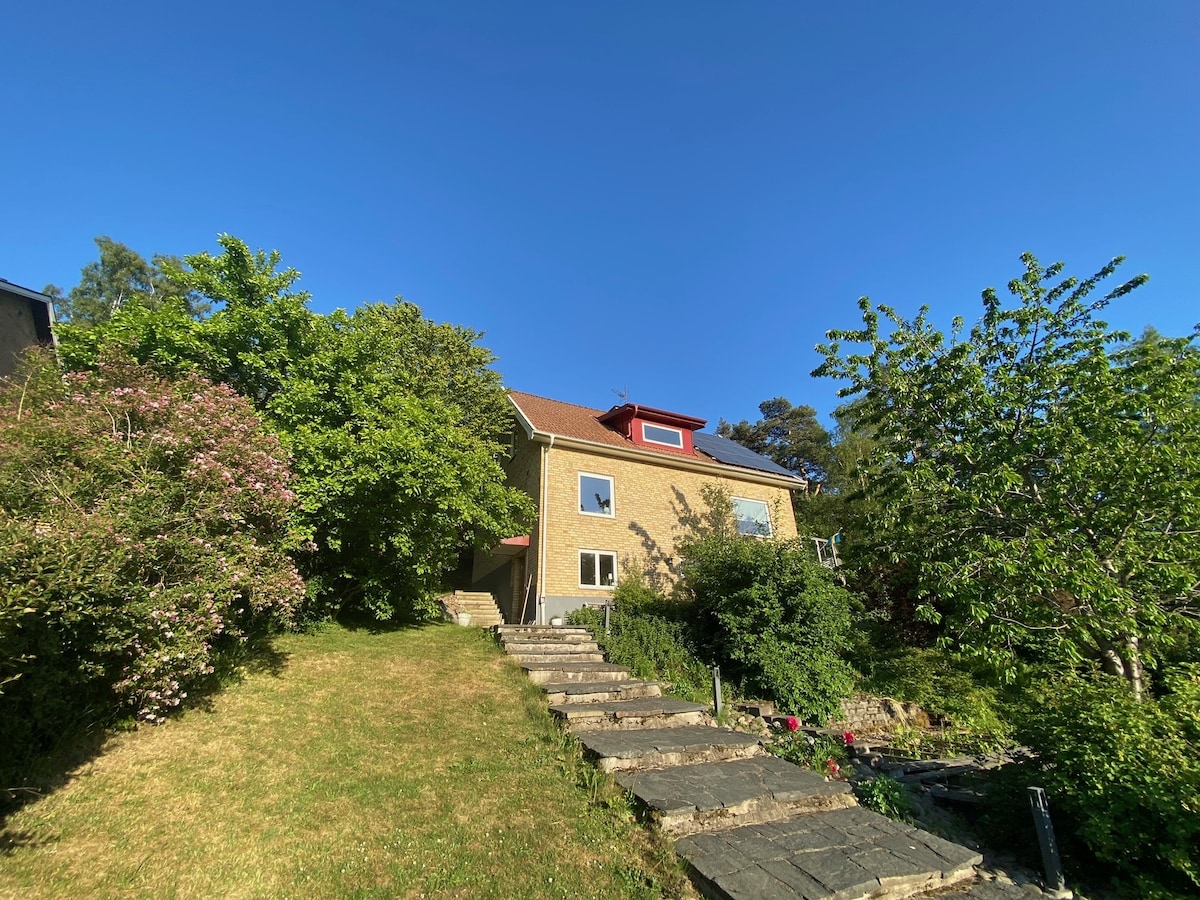 A two-story house is positioned slightly elevated, surrounded by green foliage and blooming trees. A pathway of stone steps leads up to the entrance, and a clear blue sky completes the serene landscape.
