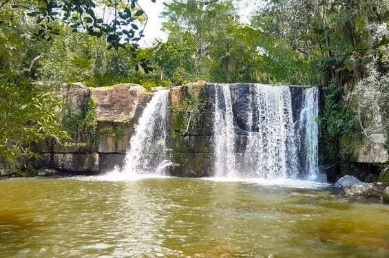 A serene waterfall cascades over a rocky cliff, flowing into a clear, tranquil pool. Surrounding lush greenery frames the scene, enhancing the natural beauty and providing a peaceful atmosphere.