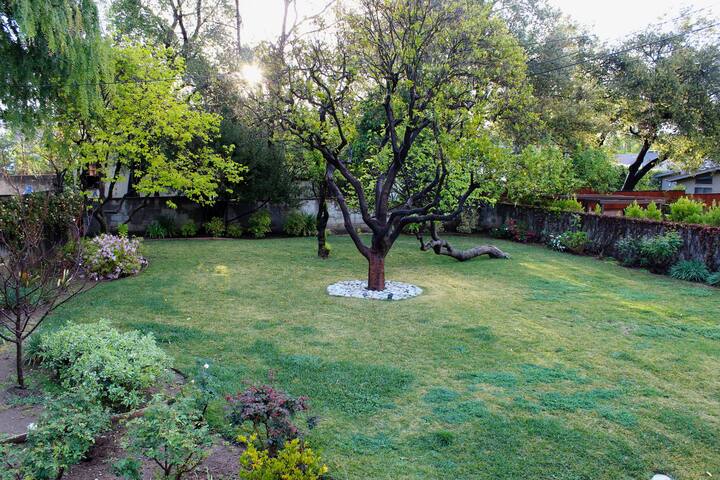 Charming Pasadena Home! Special October Rates! gallery image 5