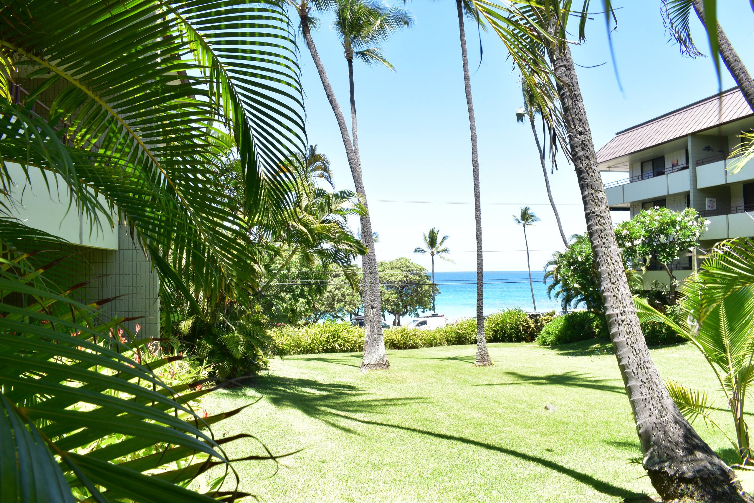 Located at MAGIC SANDS Beach on Hawaii Island-Kona - Photo 43
